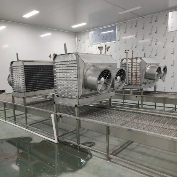 Blast Freezer, 2T, IQF - view 3