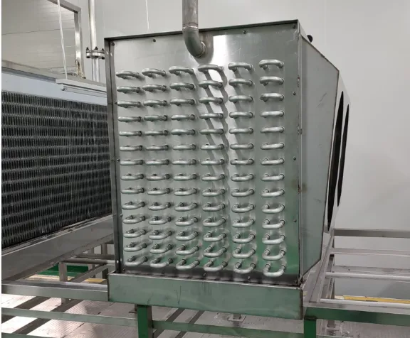 Blast Freezer, 2T, IQF - view 4
