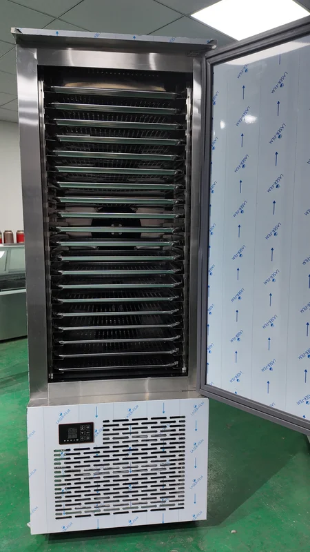 Blast Freezer, 45C, 220 V, 3000W