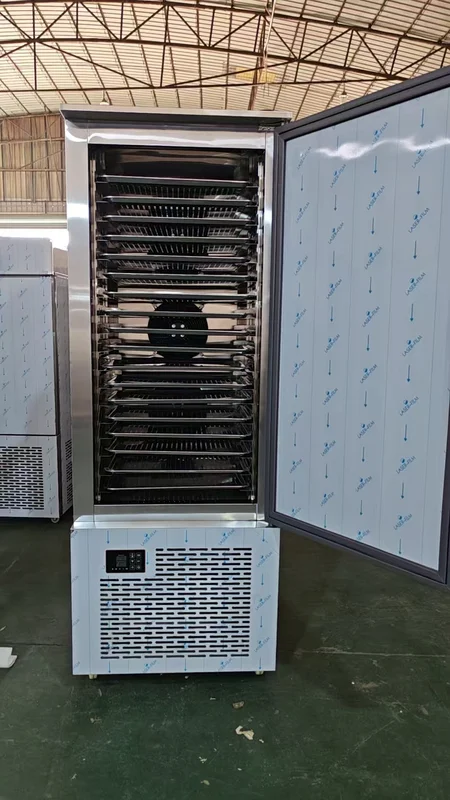 Blast Freezer, 45C, 220 V, 3000W - view 3