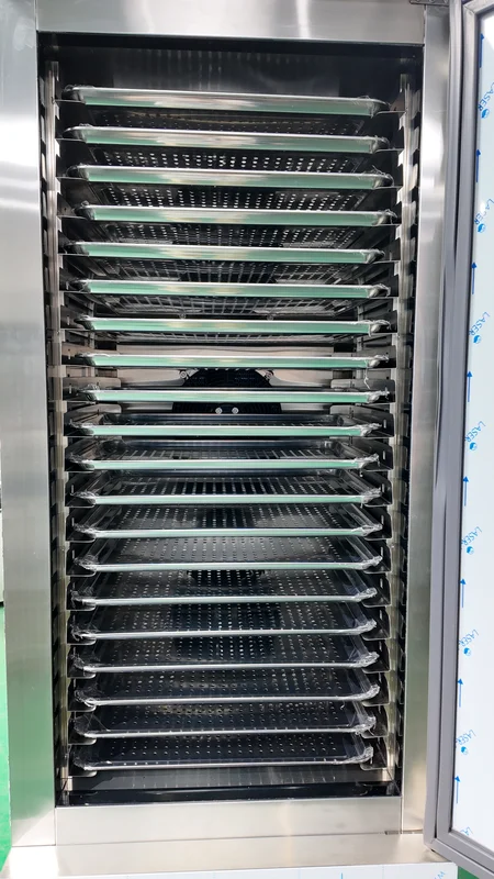 Blast Freezer, 45C, 220 V, 3000W - view 6