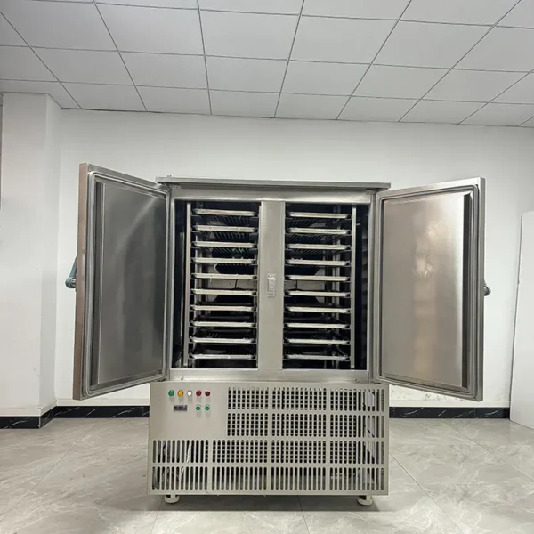 Blast Freezer, 650, 220V, 4.4KW - view 6