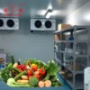 Blast Freezer, IQF, 220