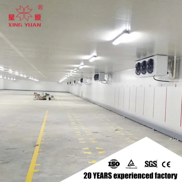Blast Freezer, IQF, 220 - view 2