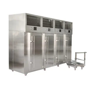 Blast Freezer, IQF, 500kg