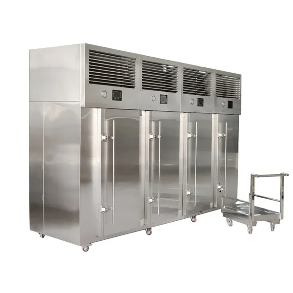 Blast Freezer, IQF, 500kg