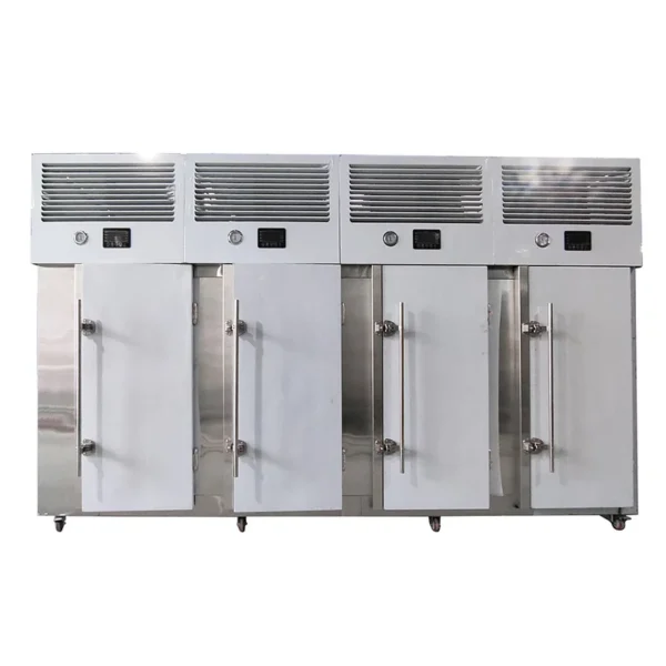 Blast Freezer, IQF, 500kg - view 4