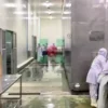 video-thumb-0