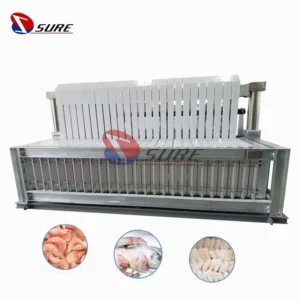 Blast Freezer, IQF, Plate Freezer