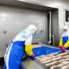 Blast Freezer, KHFT, IQF - view 3