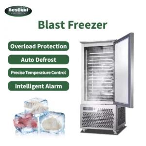 Blast Freezer, Stainless, Steel