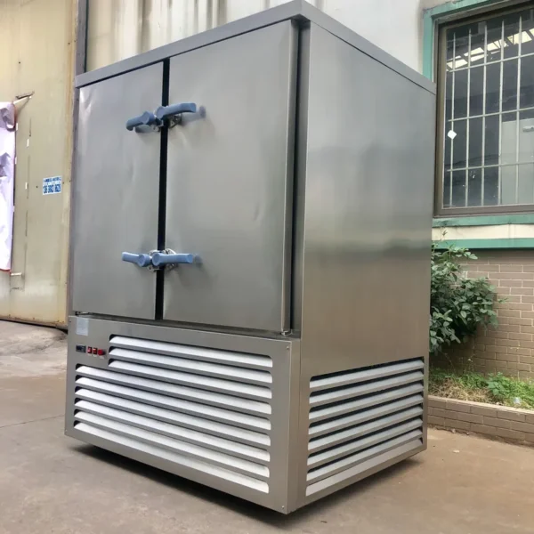 Blast Quick Flash Chiller, IQF, 1700 - view 2