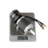 Bldc Gear Motor, 42mm, 1000rpm, 24V, 12V - view 4