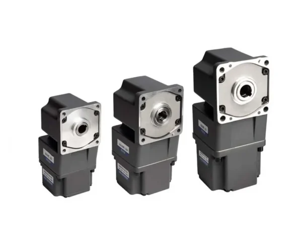 Bldc Motor, 48V, 24V, 110V, 220V - view 2