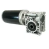 Brush Gear Motor, 12V, 300rpm