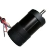 Brushless Bldc Motor, 80RBL-IE, PWM, 100, 200