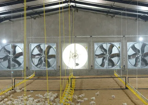 Brushless Cooling Exhaust Fan, Axial, 1380mm, Stainless, Steel - view 3