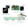 Brushless Motor, 24V, 36v, 48v, 310vDC - view 4