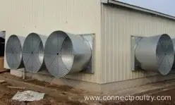 Butterfly Cone Fan, 50inch, 380-415V, Electric - view 4