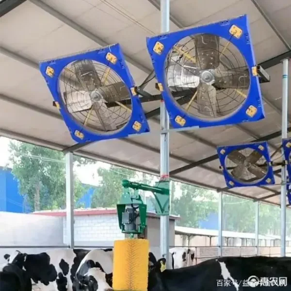 Calf Fan, 800mm, 1000mm, 1200mm - view 5