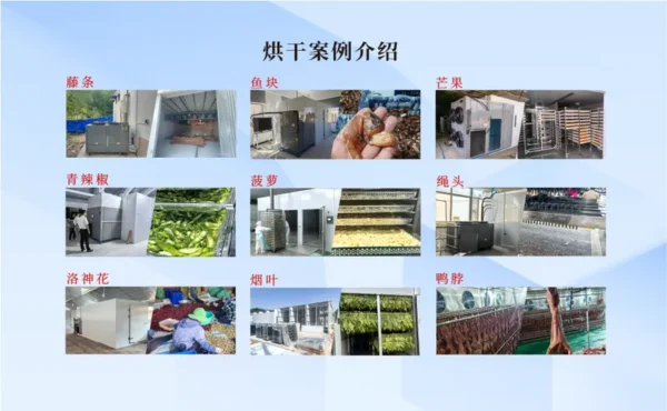 Capacity Industrial Heat Pump, 220V, 4.5kw - view 5