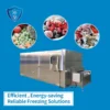 Capacity Tunnel Iqf Freezer, 110v-380v, Stainless Steel 304 - view 5