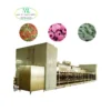 Carrot Individual Quick Freezer, IQF, SUS304