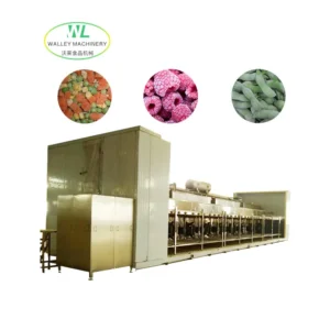 Carrot Individual Quick Freezer, IQF, SUS304