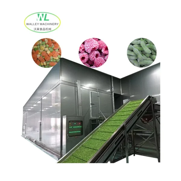 Carrot Individual Quick Freezer, IQF, SUS304 - view 2