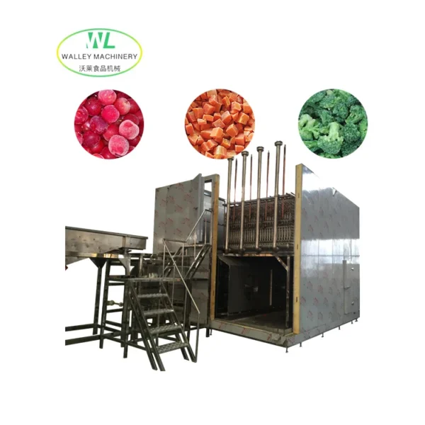 Carrot Individual Quick Freezer, IQF, SUS304 - view 3