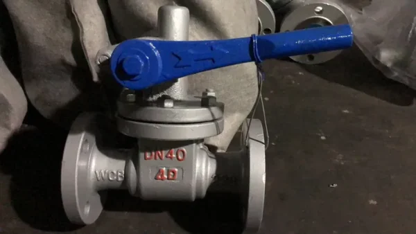 Cast Steel Blowdown Valve, Manual - view 3