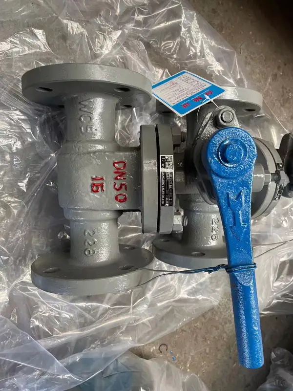 Cast Steel Blowdown Valve, Manual - view 4