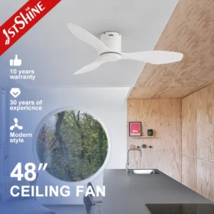 Ceiling Fan, 1stshine, Electric, Plastic