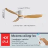 Ceiling Fan, 24W(0.03hp), Metal - view 3