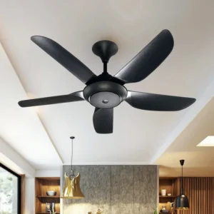 Ceiling Fan, BLDC, 5-abs, 9-Speed