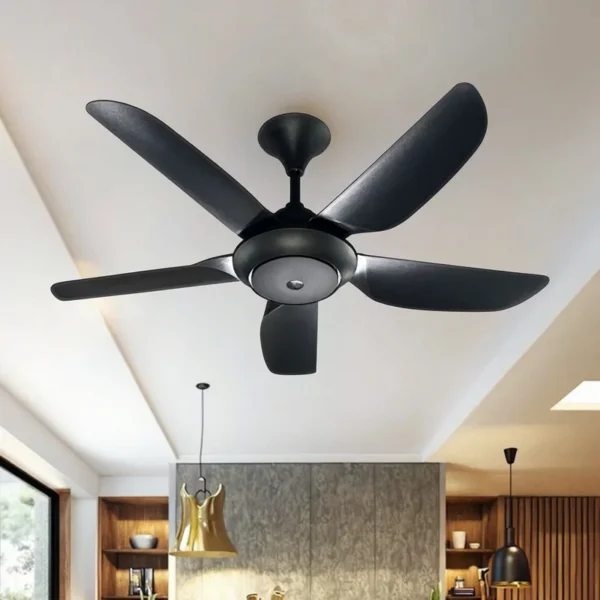 Ceiling Fan, BLDC, 5-abs, 9-Speed