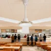 Ceiling Fan, BLDC, 80 W(0.11hp), Metal - view 3