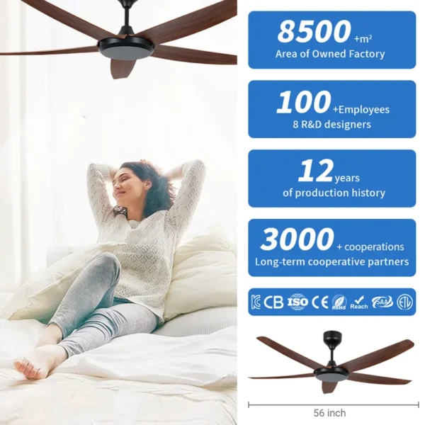Ceiling Fan, BLDC, E1056HH - view 3