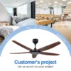 Ceiling Fan, BLDC, E1056HH - view 5