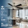 Ceiling Fan, BLDC, LED