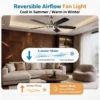 Ceiling Fan, BLDC, LED - view 2