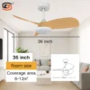 Ceiling Fan, BLDC, SD-CF032 - view 5