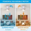 Ceiling Fan, LED, 22, Plastic - view 5