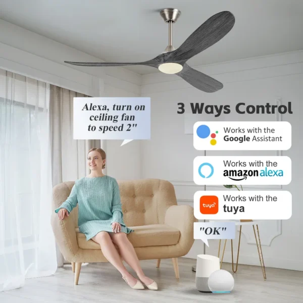 Ceiling Fan, LED, Electric Power, 40W - view 6