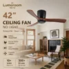 Ceiling Fan, USA, 35W(0.05hp), Wood+Metal