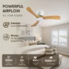 Ceiling Fan, USA, 35W(0.05hp), Wood+Metal - view 2