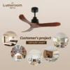 Ceiling Fan, USA, 35W, Solid Wood + Metal - view 4
