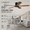 Ceiling Fan, USA, 50 W(0.07hp), Solid Wood + Metal