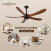 Ceiling Fan, USA, 50 W(0.07hp), Solid Wood + Metal - view 4