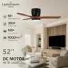 Ceiling Fan, USA, W2352P154689
